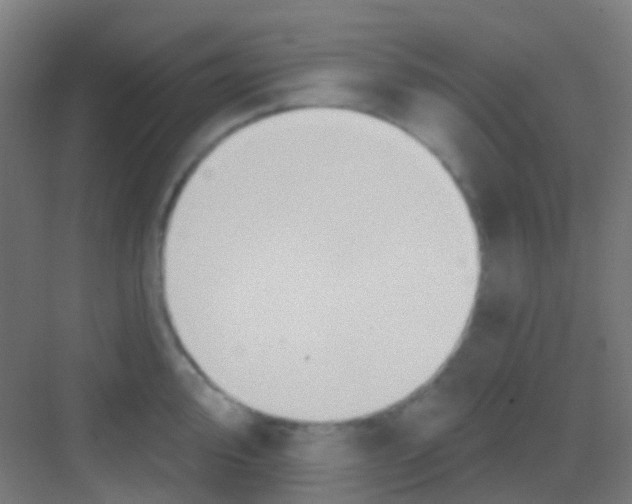 X0000081301000200702082040