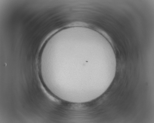 X0000081301003200702082039