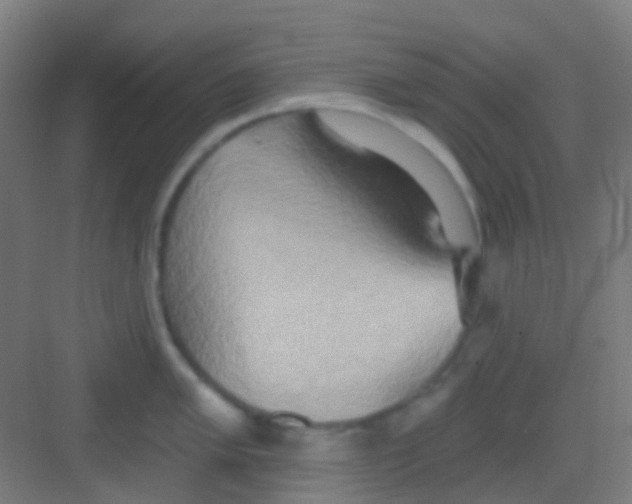 X0000081301005200702082039