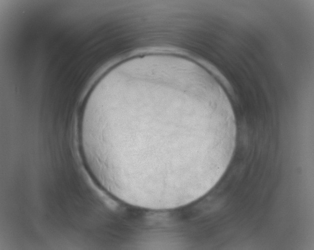 X0000081301006200702082039