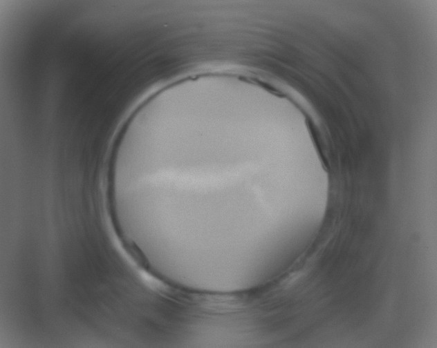 X0000081301007200702082039