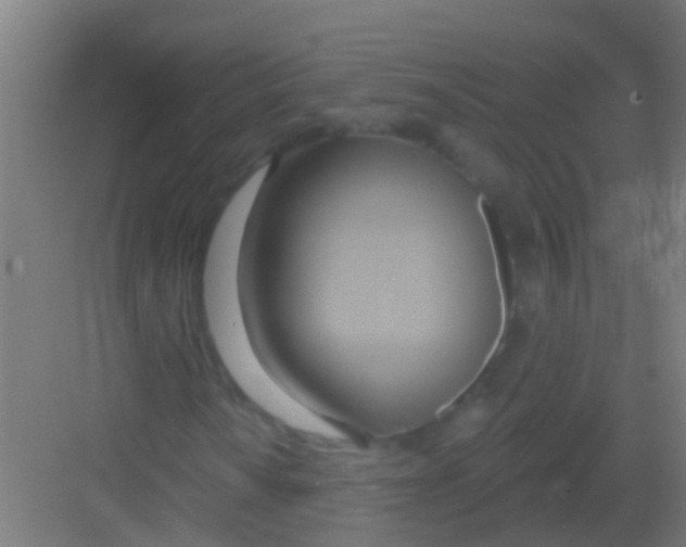 X0000081301010200702082039