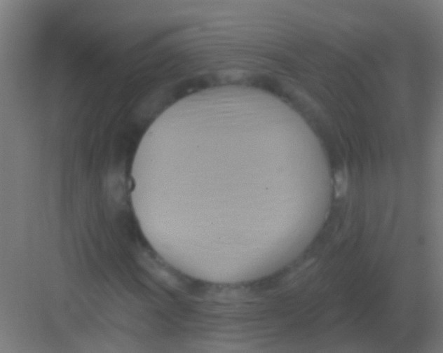 X0000081301011200702082039