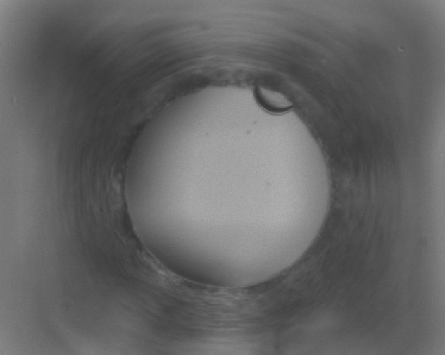 X0000081301013200702082039