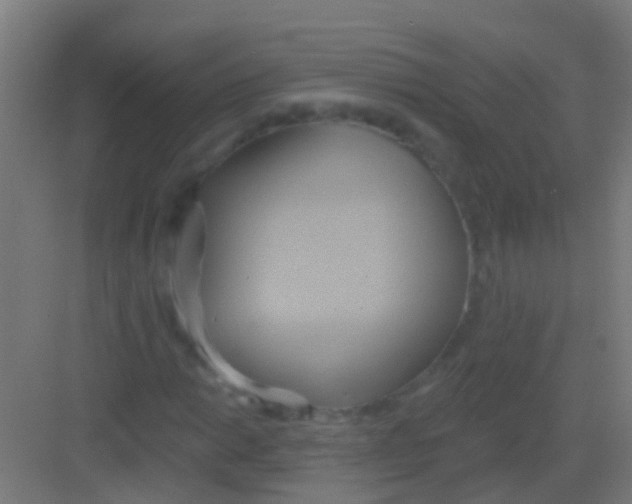 X0000081301014200702082039