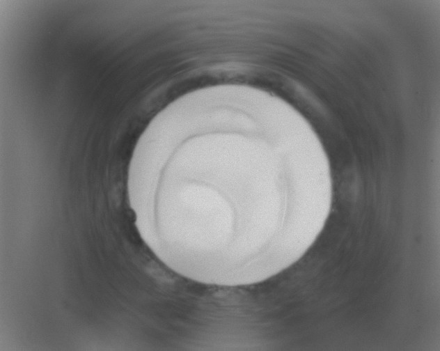 X0000081301015200702082039