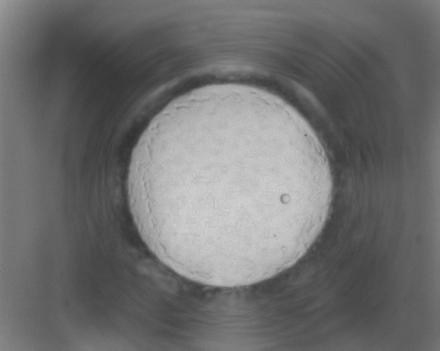 X0000081301016200702082039