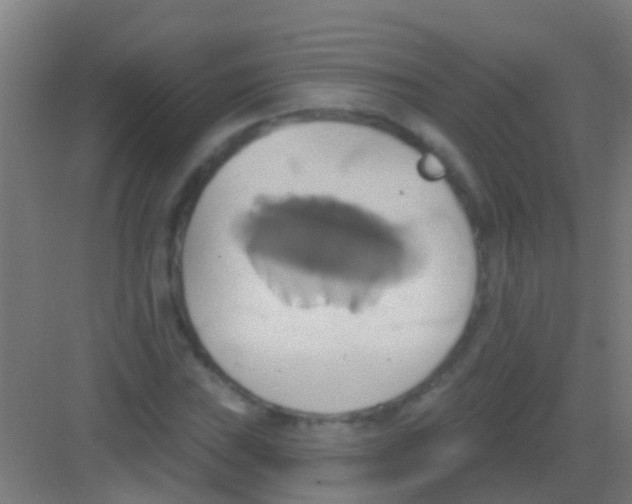 X0000081301019200702082039