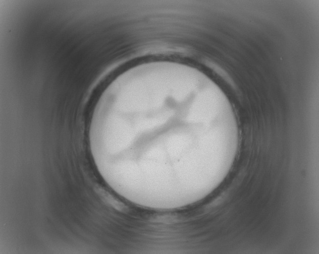 X0000081301021200702082039