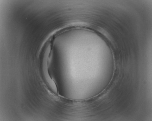 X0000081301022200702082039