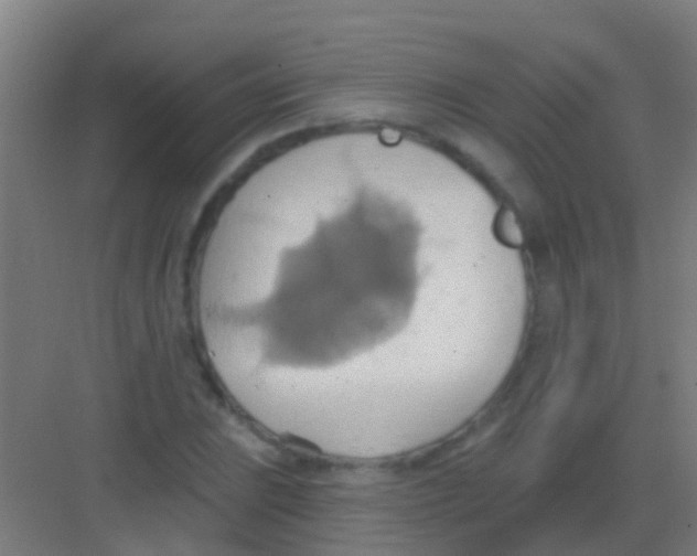 X0000081301023200702082039