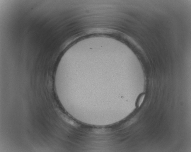 X0000081301025200702082039