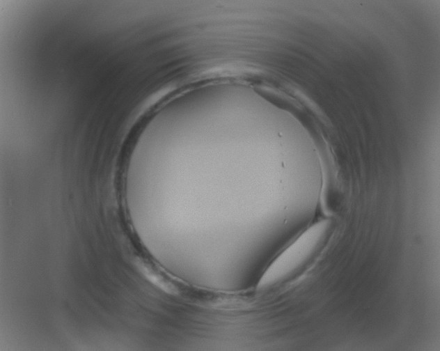 X0000081301026200702082039