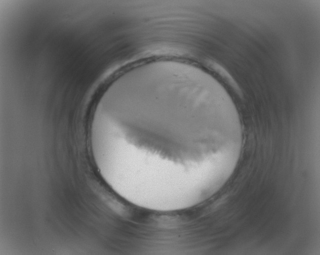 X0000081301027200702082039