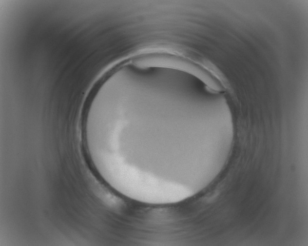 X0000081301028200702082039