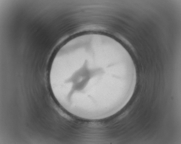 X0000081301029200702082039