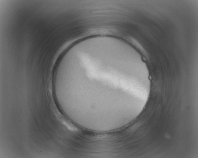 X0000081301035200702082039