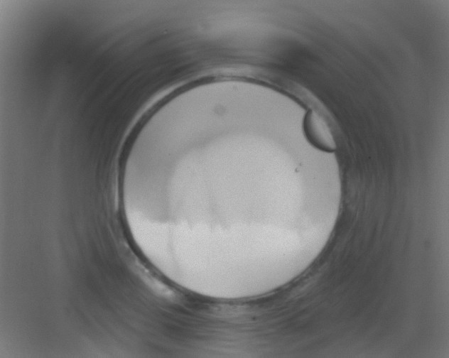 X0000081301036200702082039