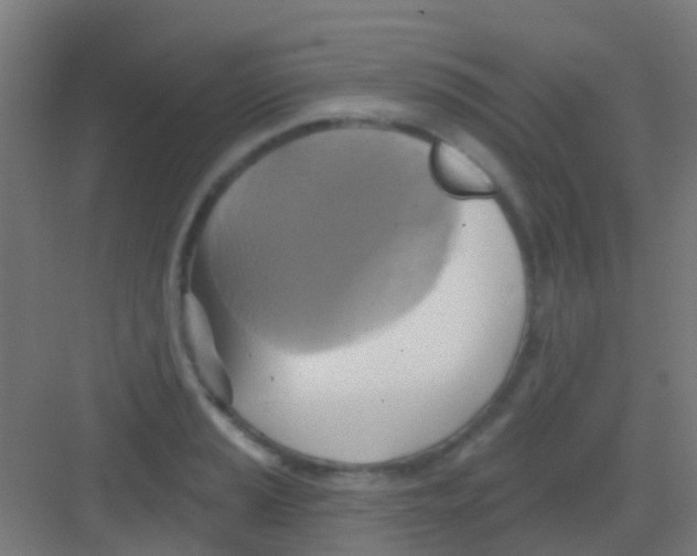 X0000081301037200702082039