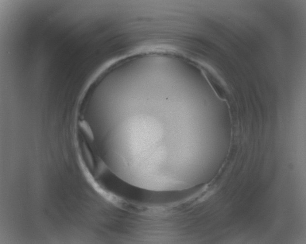 X0000081301038200702082039