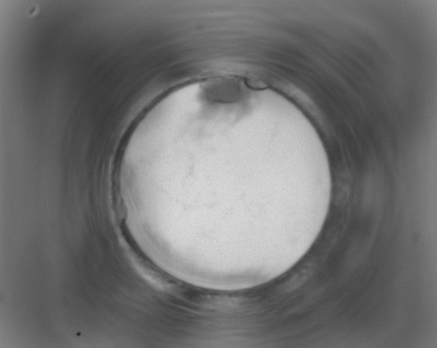 X0000081301039200702082039