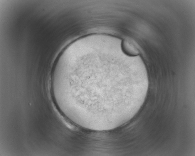 X0000081301040200702082039