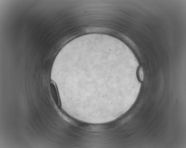 X0000081301041200702082039