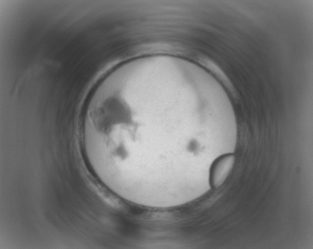 X0000081301043200702082039