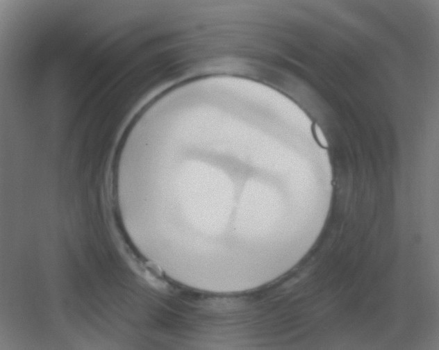 X0000081301044200702082039