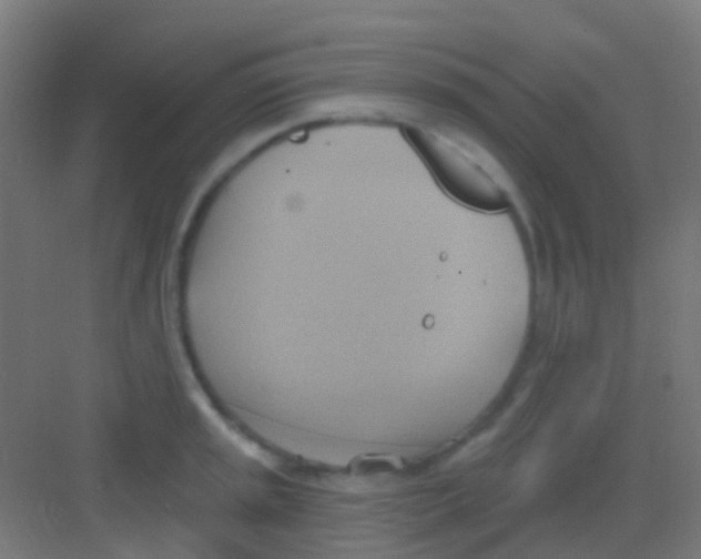 X0000081301045200702082039