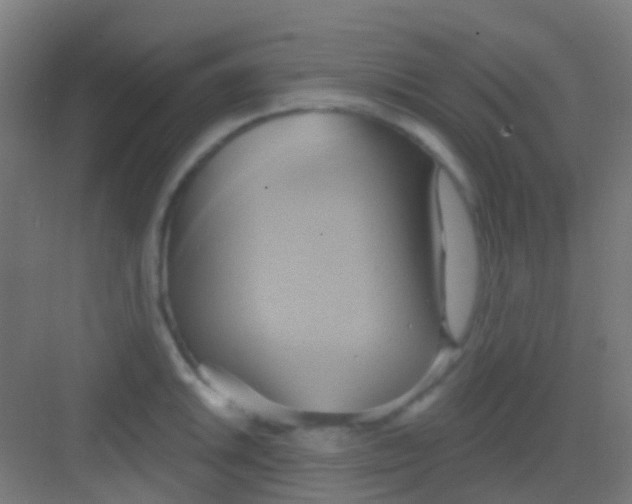 X0000081301046200702082039