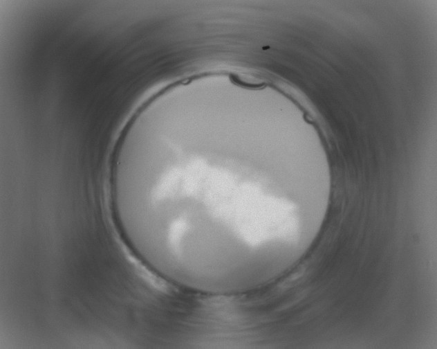 X0000081301048200702082039