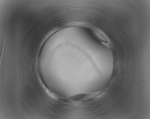 X0000081301050200702082039