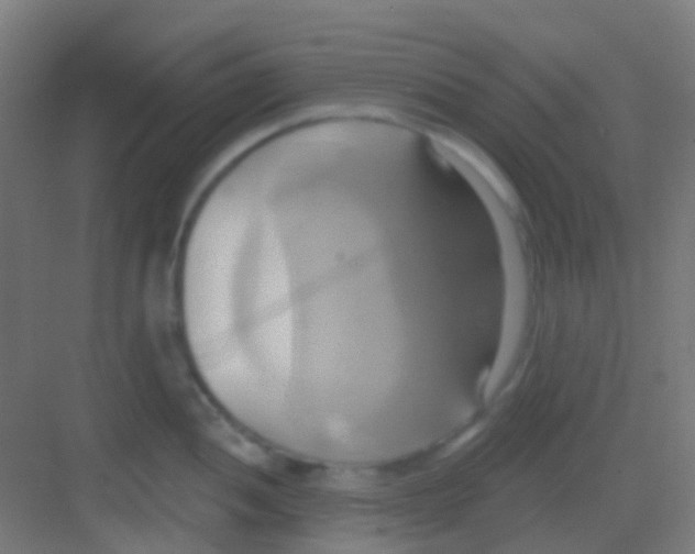 X0000081301052200702082039