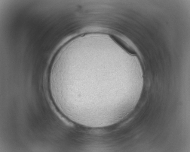 X0000081301053200702082039