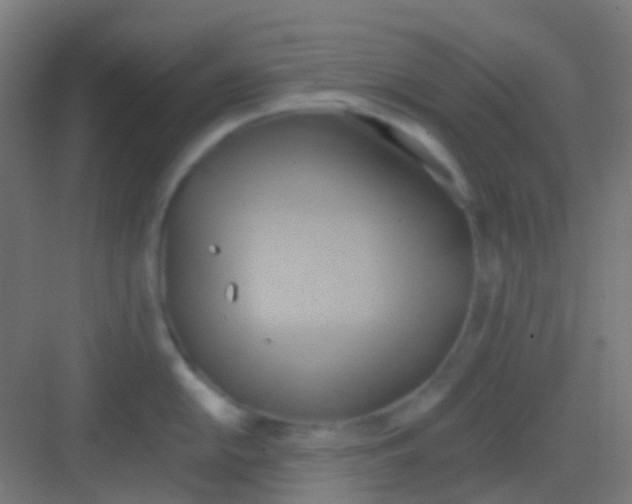 X0000081301054200702082039