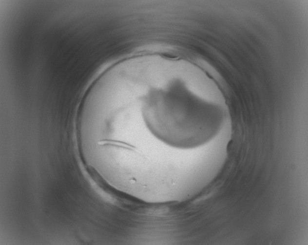 X0000081301055200702082039