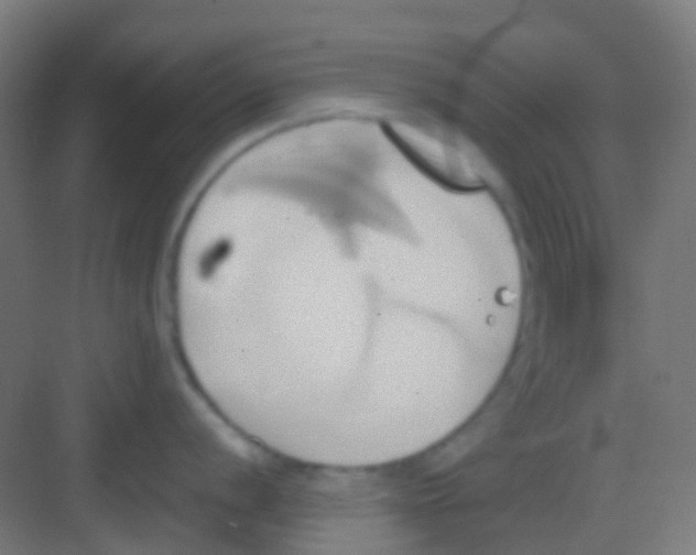 X0000081301056200702082039