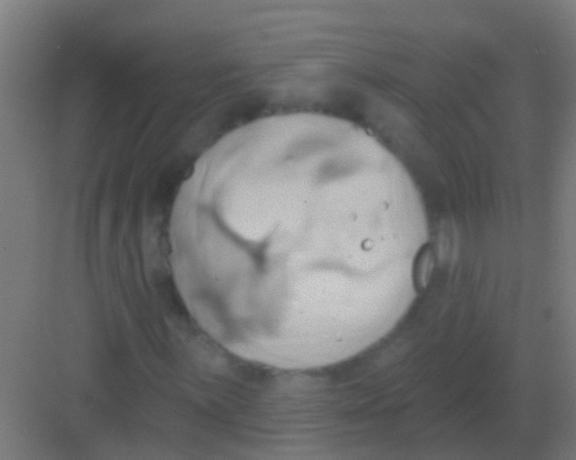 X0000081301059200702082039