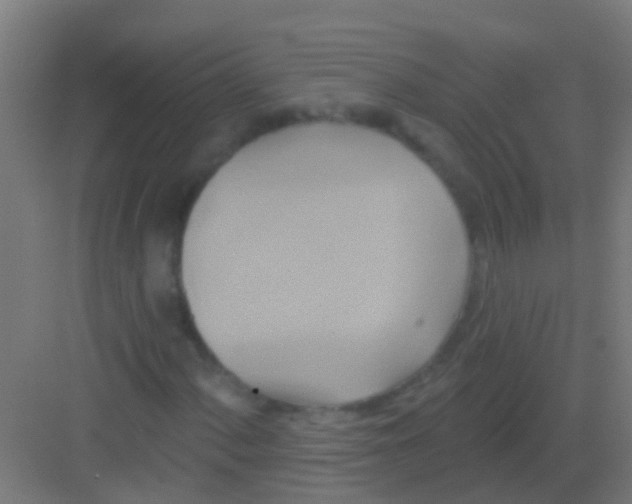 X0000081301060200702082039