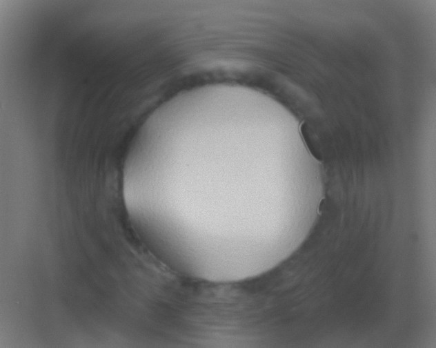 X0000081301061200702082038