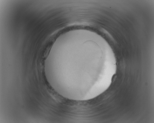 X0000081301064200702082038