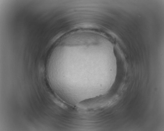 X0000081301065200702082038