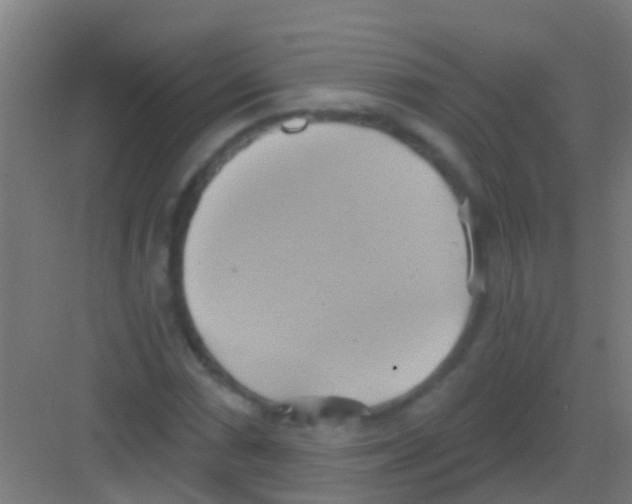 X0000081301066200702082038