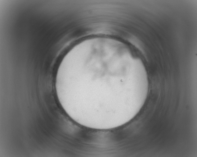 X0000081301067200702082038