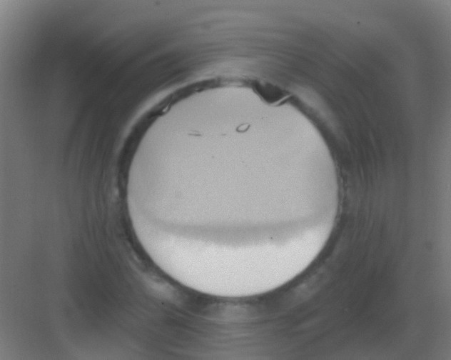 X0000081301070200702082038