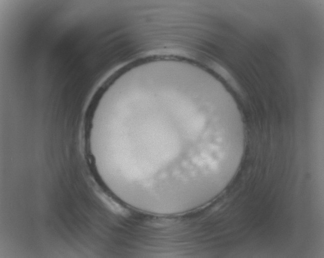 X0000081301076200702082038