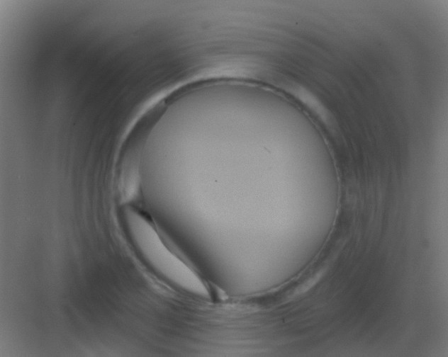 X0000081301077200702082038