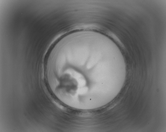 X0000081301079200702082038