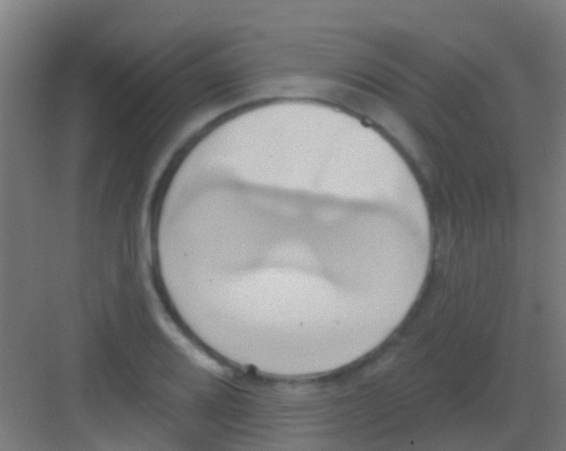 X0000081301080200702082038